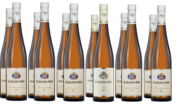 2019 Dr. Bürklin-Wolf GC Kirchenstück & Co. - Riesling trocken günstig kaufen