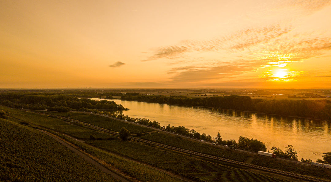 Beste Lagen beim Weingut von Julia Schittler