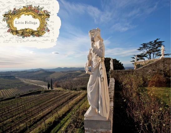 Livio Felluga aus dem Friaul, Italien