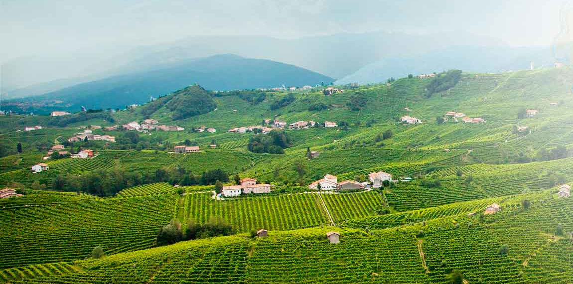 Prosecco Superiore DOCG von Marsuret